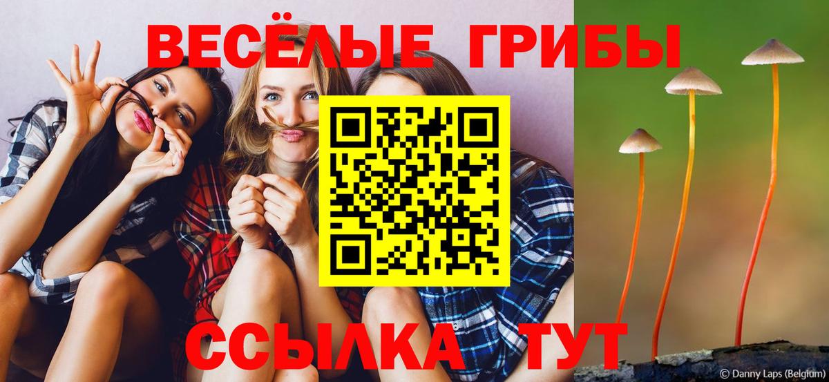 Псилоцибиновые грибы GOLDEN TEACHER Сокол